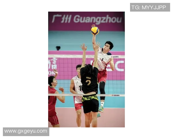 重庆排球队灵活性创新高引发全国关注展现排球新风貌